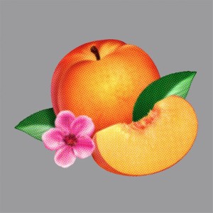 phoenix bankrupt