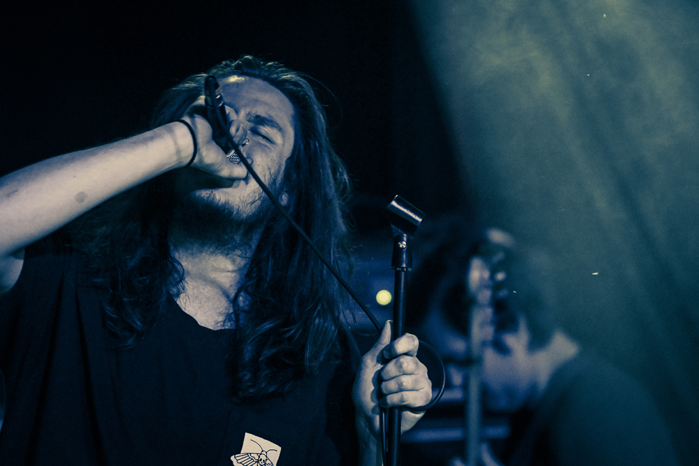 Its Just Bugs @ Moxi Theater – Greeley