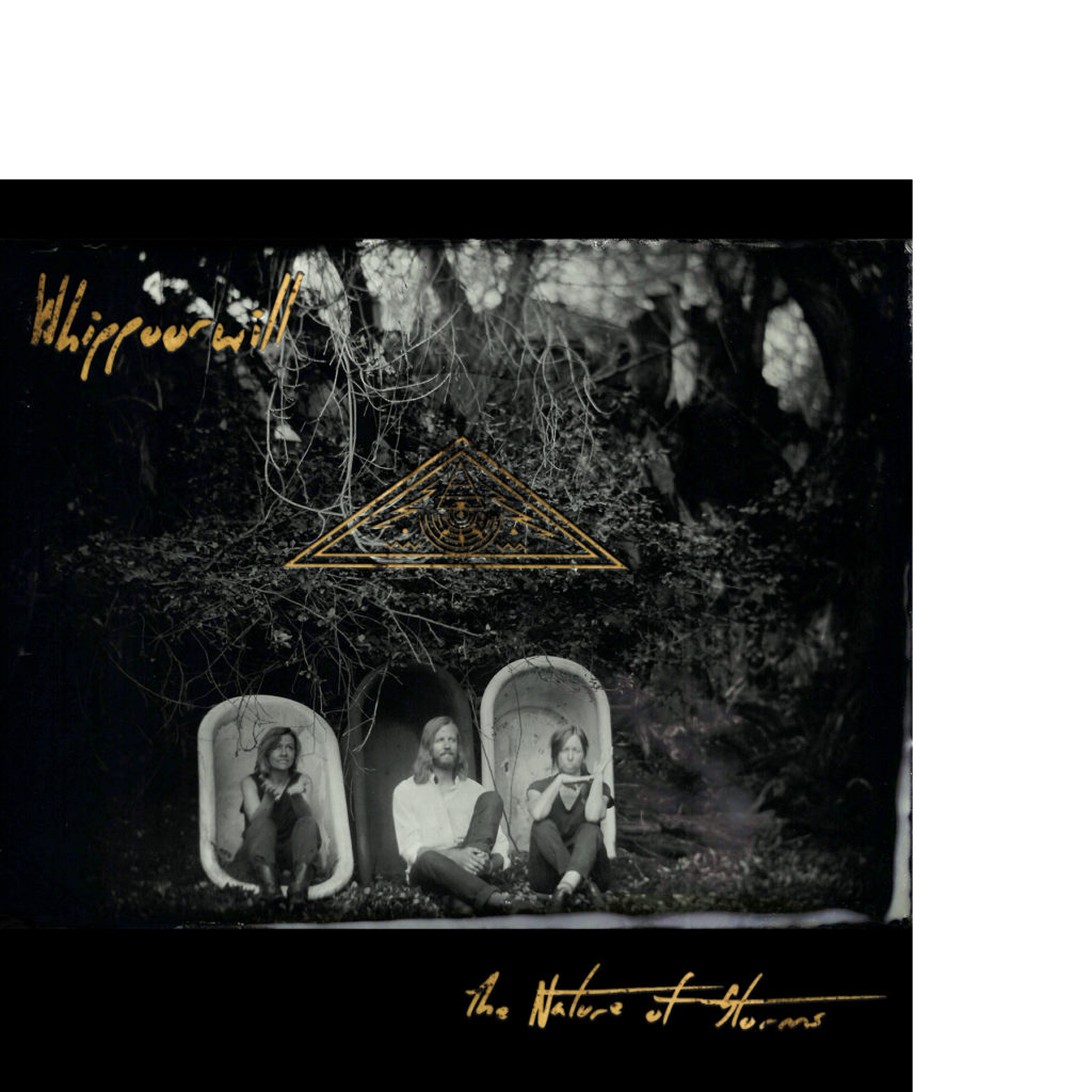Photo from “A Tempest Of Inspiration: Whippoorwill and The Nature Of Storms”