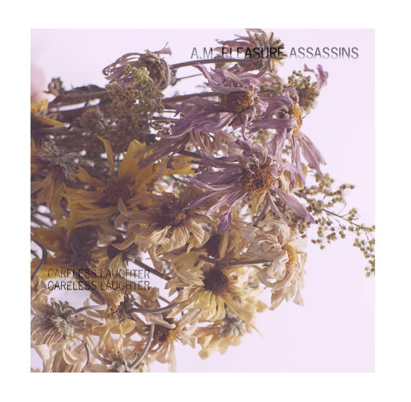 Photo from “Album Review: A.M. Pleasure Assassins – Careless Laughter”