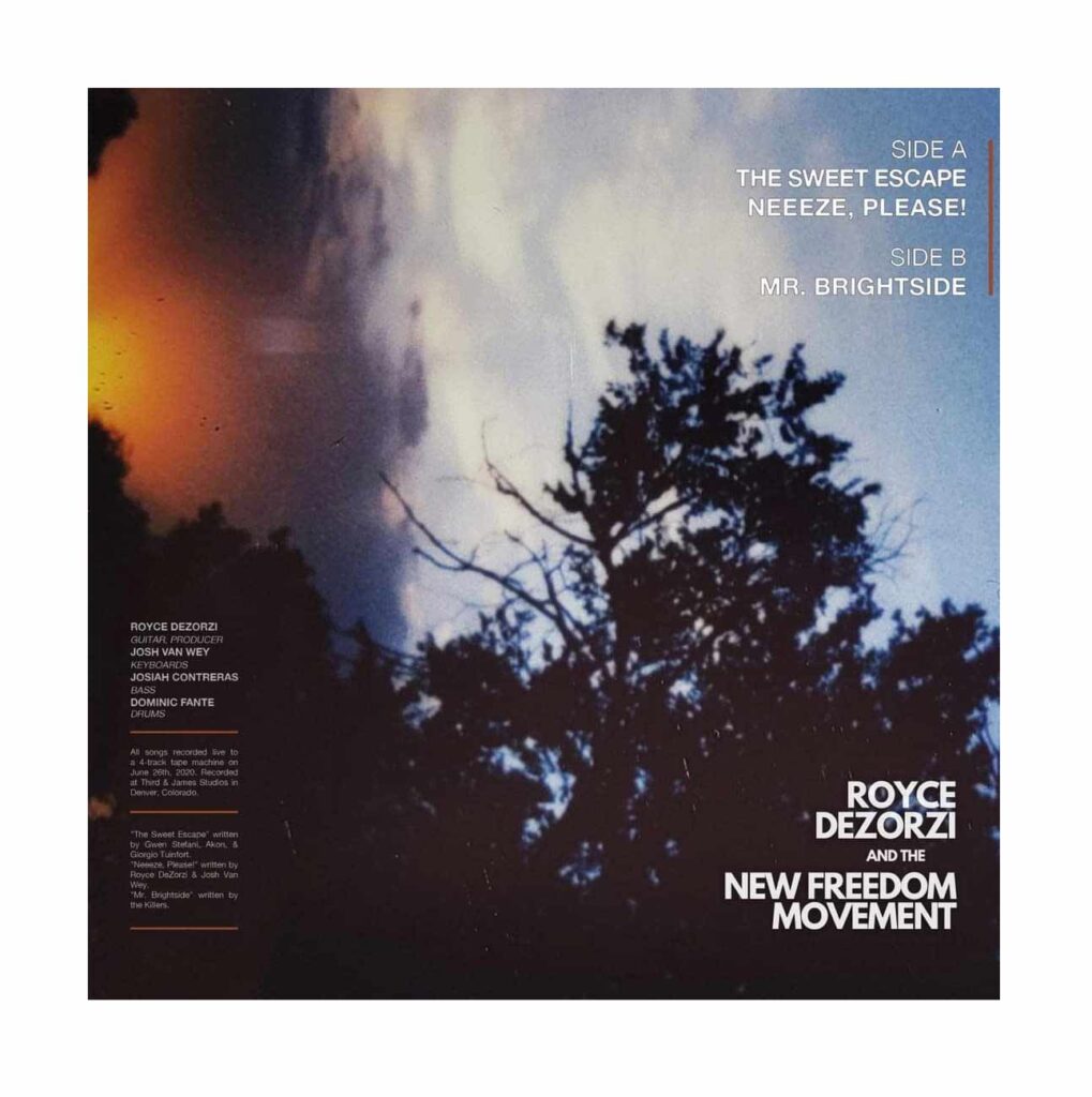 Photo from “Album Review: Royce DeZorzi & The New Freedom Movement”