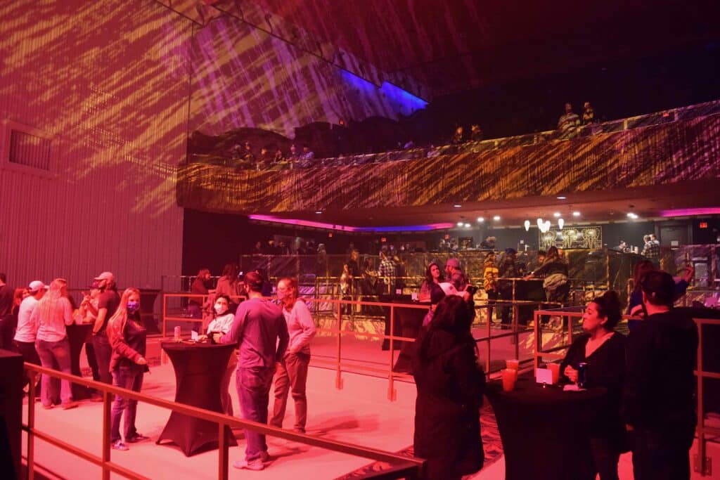 Photo from “The Thin Black Line: Venues Fight To Survive”