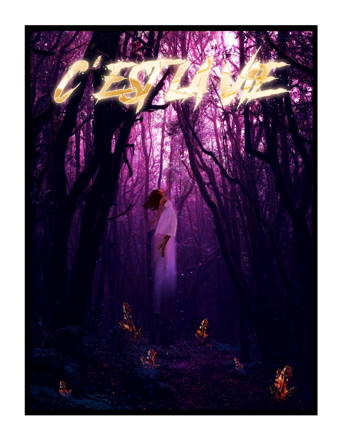 Photo from “Single Review: NGHT WLVES – “C’est La Vie””