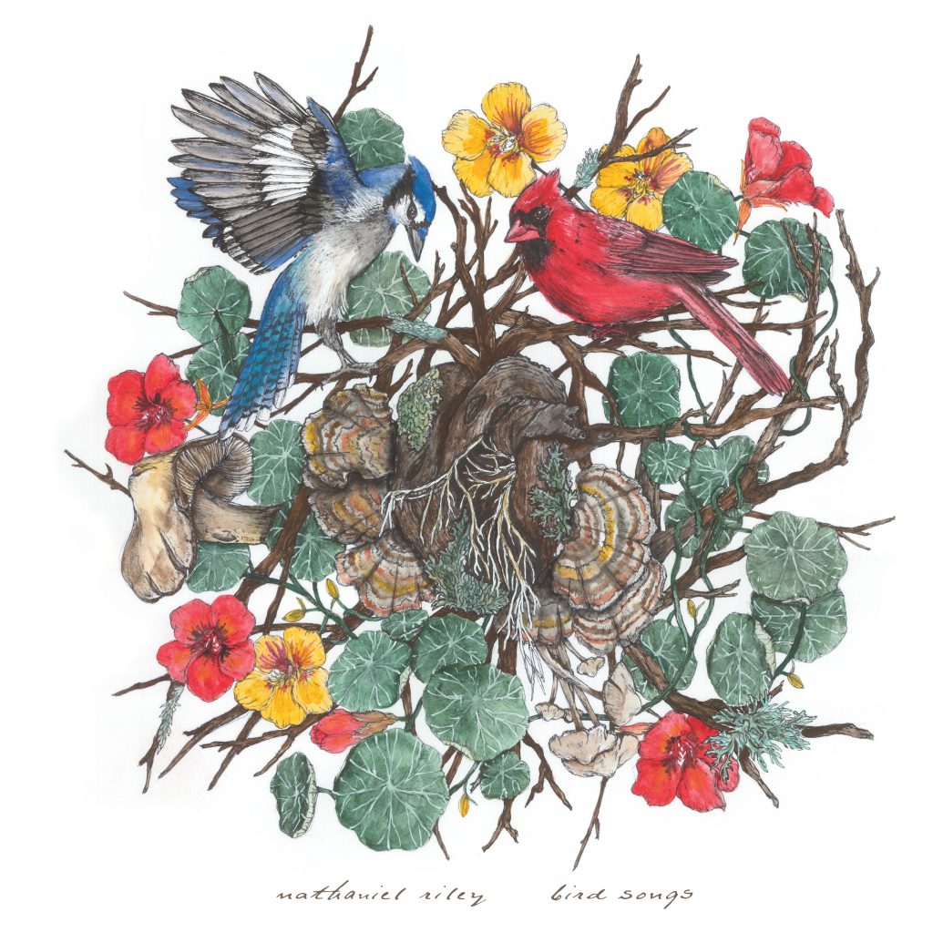 Photo from “Colorado Singer-Songwriter Nathaniel Riley Pours Emotion into “Bird Songs.””