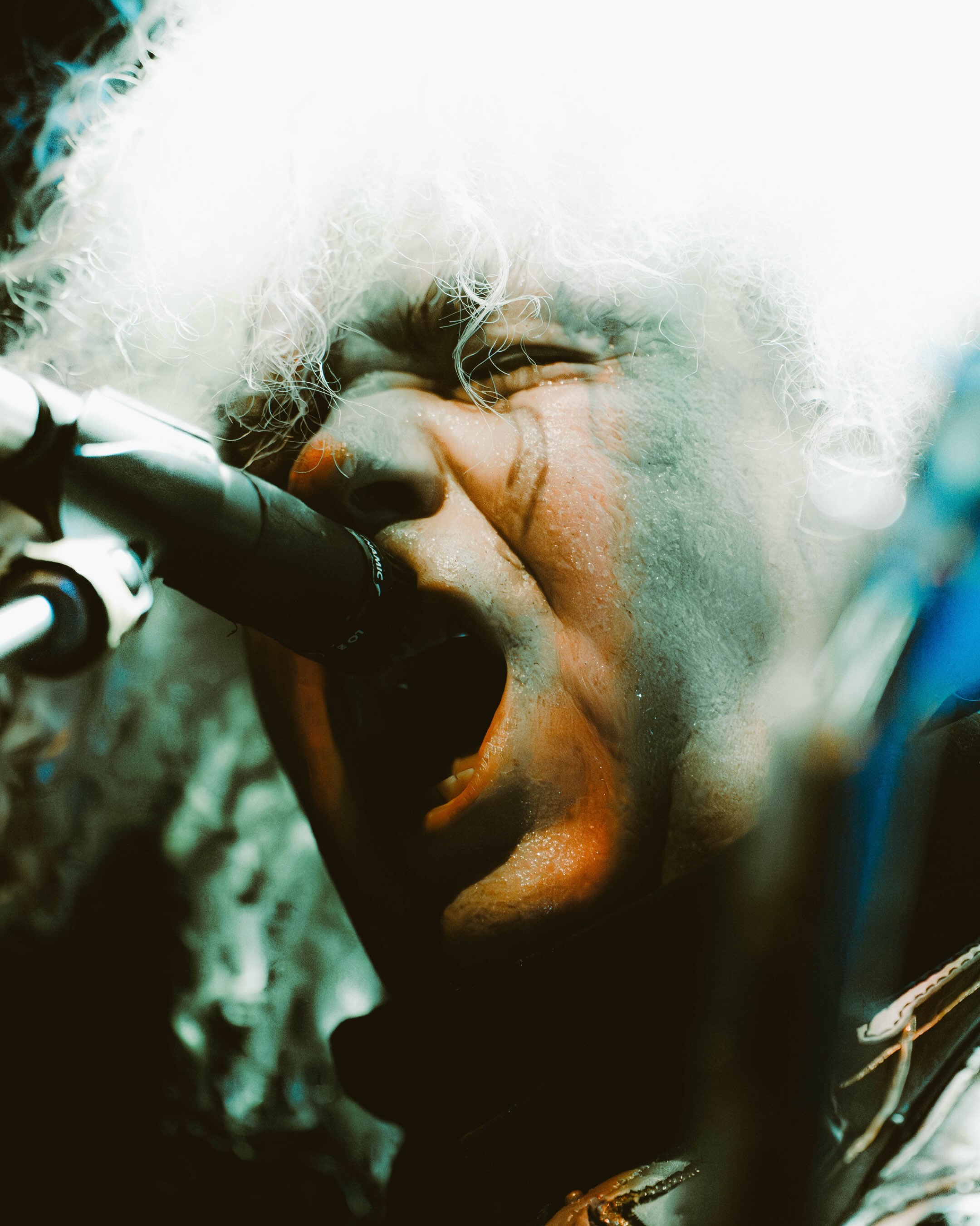 Melvins performs on stage (photo 12 of 20)