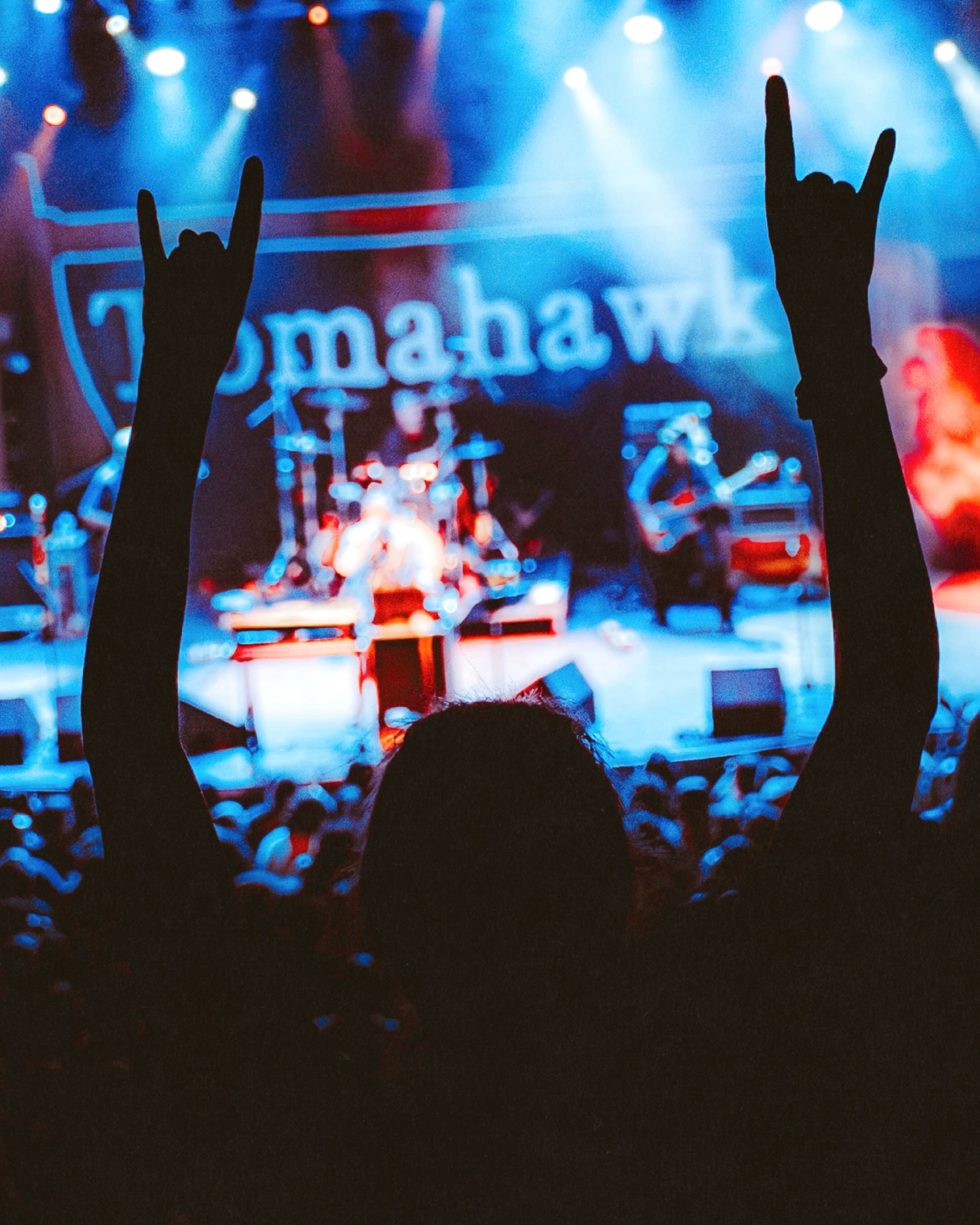 Tomahawk performs on stage (photo 16 of 20)