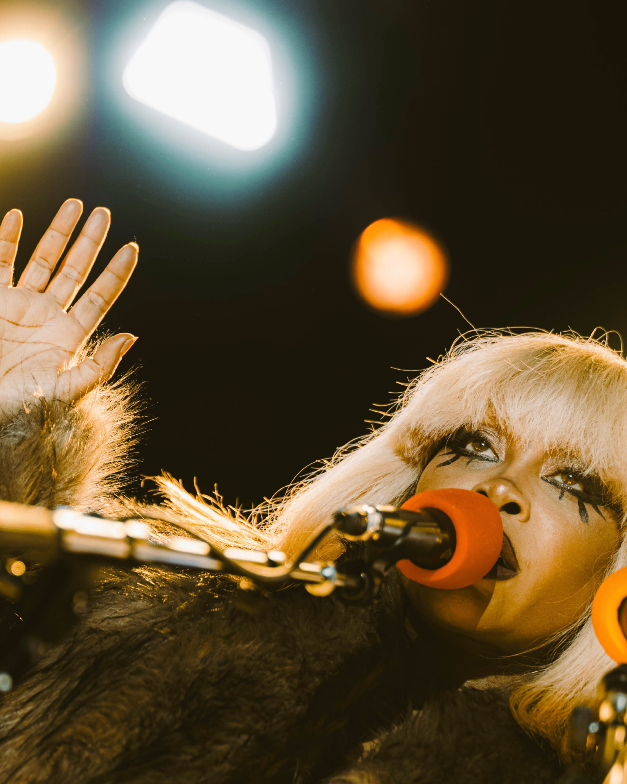 Erykah Badu performs on stage (photo 17 of 20)
