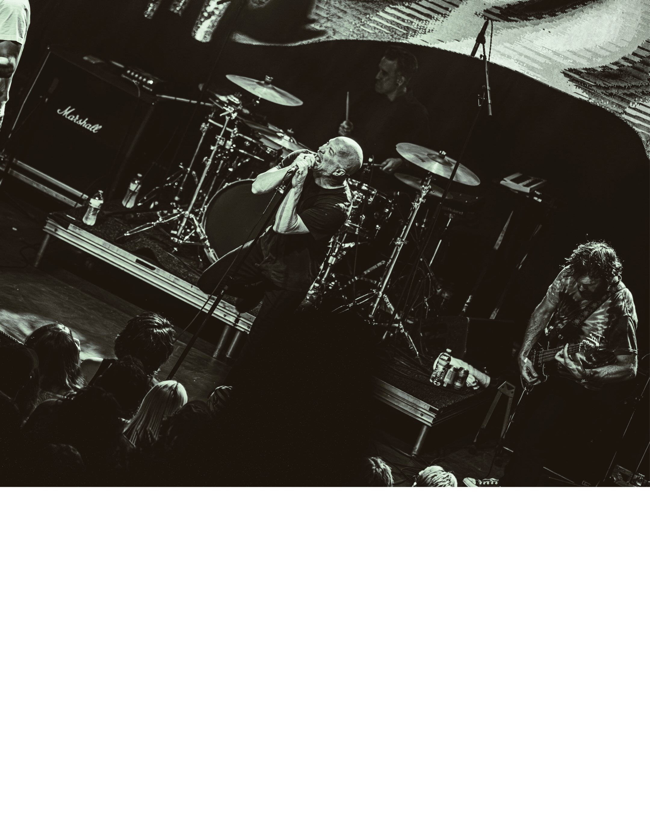 Have a Nice Life performs on stage (photo 14 of 19)