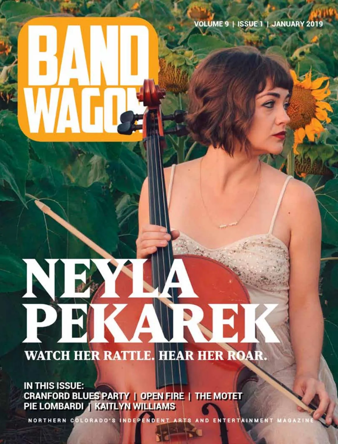 Page 1 of January 2019