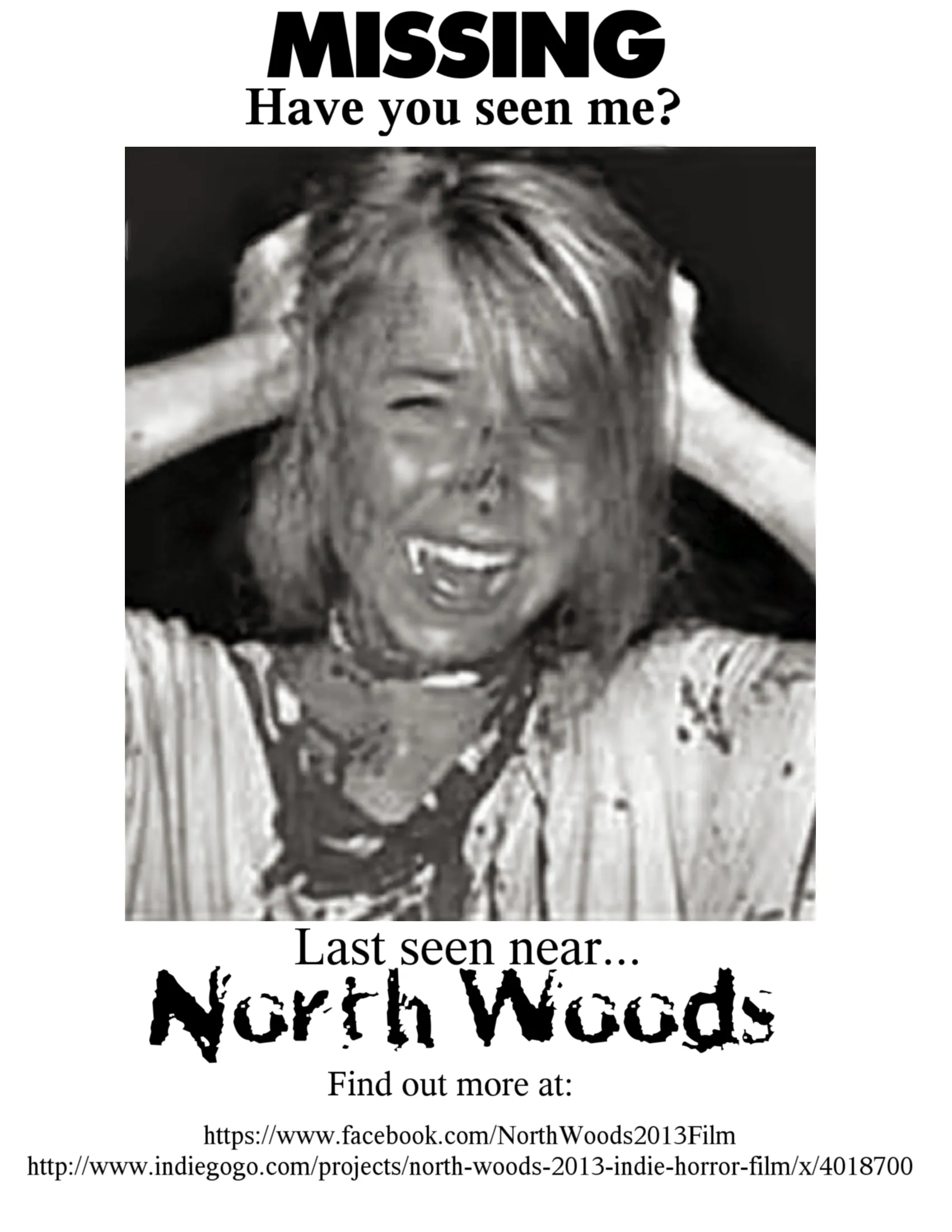Help Complete “North Woods!”