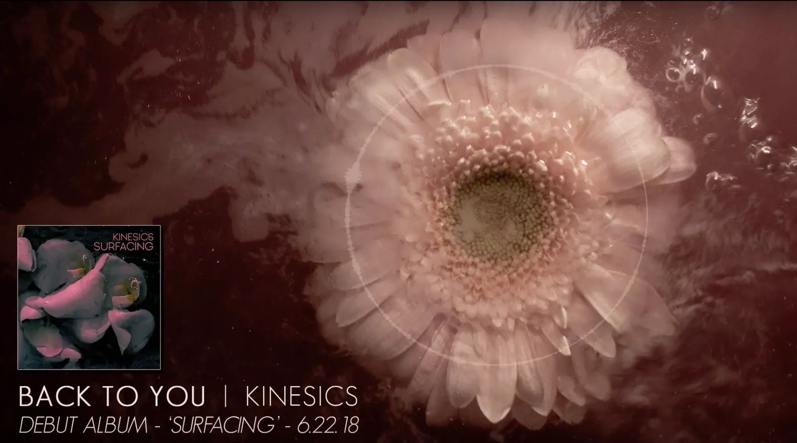 Video Single Premiere – Kinesics: Back To You