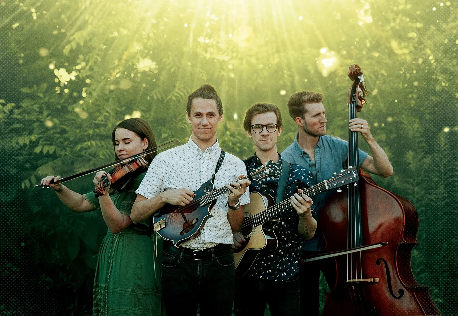 Four musicians in a sunlit green forest playing fiddle, mandolin, guitar, and upright bass.