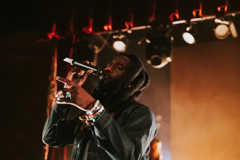 Performer with dreadlocks and a beard singing into a microphone under warm stage lights at a concert.
